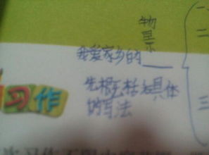 愛家鄉(xiāng)的作文開頭怎么寫