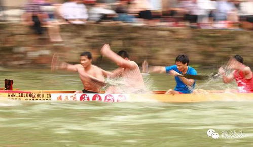 家鄉(xiāng)的龍舟賽作文的開頭