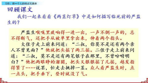 的人,作文,五級(jí),開頭