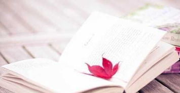 以時(shí)間開(kāi)頭寫的作文四級(jí)