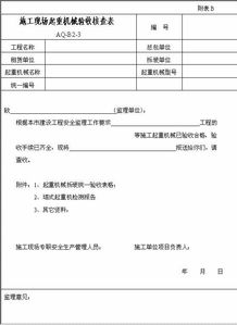 公司現(xiàn)場(chǎng)核查自查報(bào)告模板(決算核查自查報(bào)告)