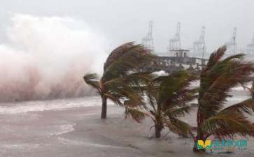 臺風(fēng)作文三百字(有關(guān)臺風(fēng)的作文三百字)