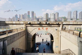 興建(用興建造句)