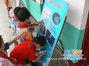 關于防雷的科普知識(關于蟬的科普知識)