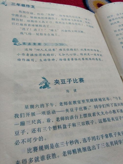 作文以愛有關(guān)的作文600字作文開頭