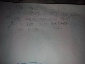 描寫小動(dòng)物的英文作文,寫小動(dòng)物的英文作文,我最喜歡的小動(dòng)物英文作文翻譯
