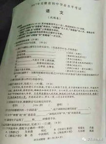 作文這就是我的承諾開(kāi)頭