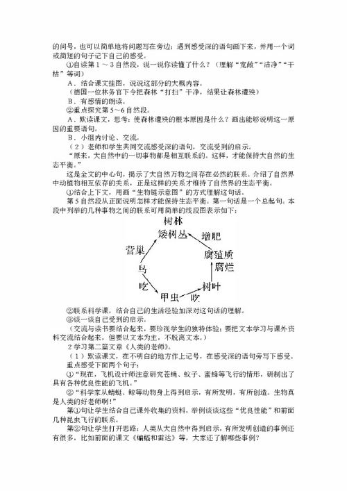 12大自然的啟示教案(大自然的啟示的教案)