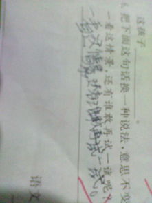 春節(jié)的作文開頭100字