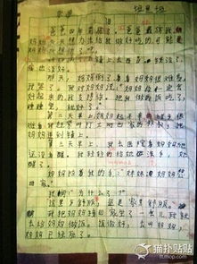溫暖的一家作文600字作文開頭