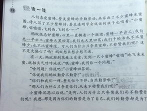 我明白了感恩作文開頭