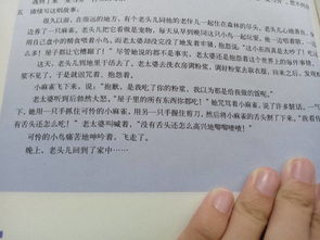 帶開頭的續(xù)寫童話作文