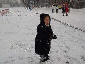 下雪啦作文開(kāi)頭