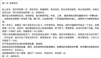 那一次我玩真高興作文開頭