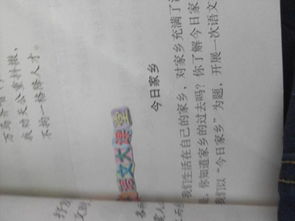 家鄉(xiāng)的冬天600個(gè)字作文開頭怎么寫