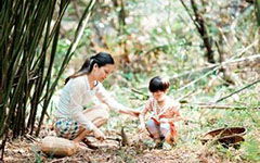 挖竹筍作文開頭