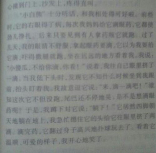 作文,該怎么,小動(dòng)物,開頭