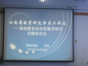 基礎(chǔ)教育研究開題報告范文(基礎(chǔ)教育研究開題報告范文)