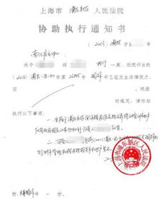 關(guān)于執(zhí)行的通知書(關(guān)于測(cè)試執(zhí)行的個(gè)人總結(jié))