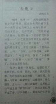 今天真好450字作文開頭