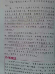 拔河,英文,作文,開頭