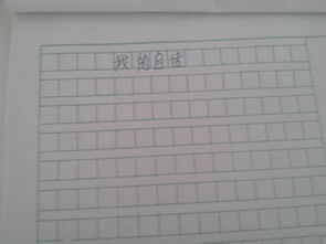 我的自傳時(shí)間作文開(kāi)頭結(jié)尾