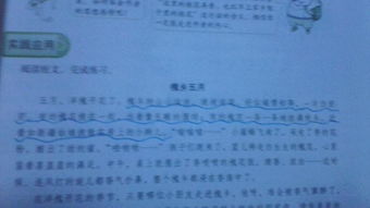 作文開頭人物比喻句