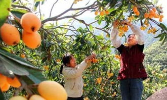 愛(ài)家鄉(xiāng)的作文600字作文開(kāi)頭