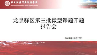 微型課題開題報告(微型課題研究開題報告)