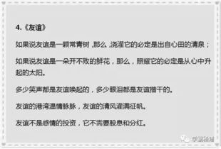 我看見的夜空作文開頭