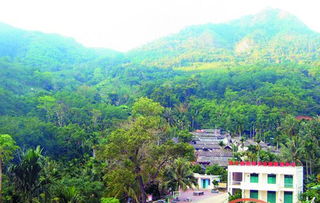 談森林生態(tài)效益補(bǔ)償機(jī)制(森林生態(tài)效益補(bǔ)償試點(diǎn)工作匯報(bào))