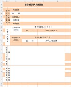 事業(yè)單位年度報(bào)告表(事業(yè)單位年度表)