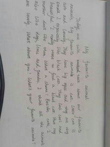 喜愛的小動(dòng)物英文作文開頭