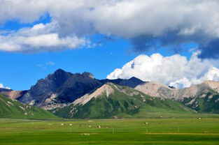 汗水中的美麗作文開頭