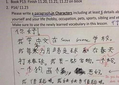 我用眼睛發(fā)現(xiàn)溫暖作文開頭