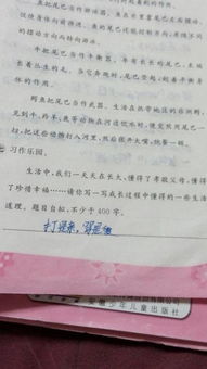 從小草悟出道理的作文開頭