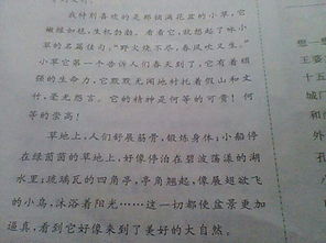 作文開頭比喻和擬人句