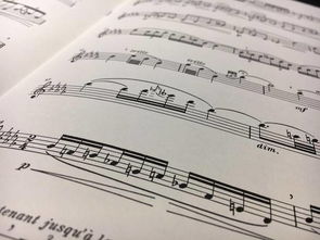 這是最好的中國作文600字作文開頭