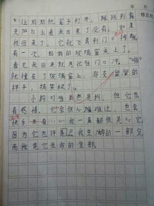 人與動(dòng)物友誼的作文開(kāi)頭