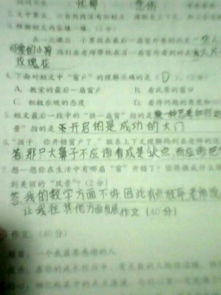 你給我一扇窗作文開頭