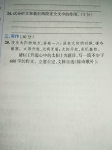 我心中的太陽(yáng)記敘文600字作文開頭