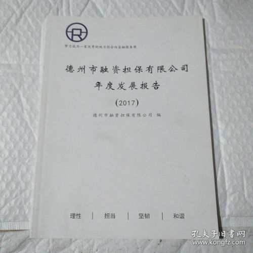 擔保公司年度總結(jié)報告(投資擔保公司年度年終工作總結(jié)報告)