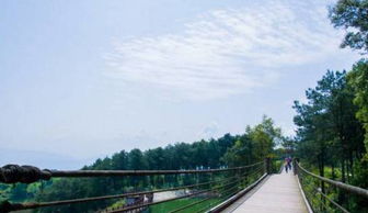 去鐵山坪作文的開(kāi)頭