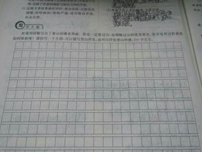 關(guān)于爬山的作文開頭6