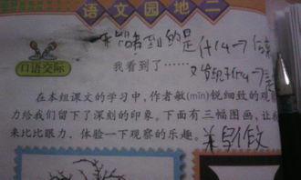 看見四級(jí)作文開頭