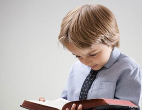 我愛(ài)讀書(shū)作文開(kāi)頭小學(xué)