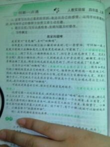 小學(xué)生關(guān)于動(dòng)物的作文(小學(xué)生關(guān)于動(dòng)物的作文500字)