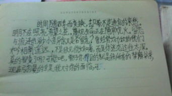 行走在美好中作文開(kāi)頭結(jié)尾,行走在美好中作文開(kāi)頭,行走在雨中作文開(kāi)頭