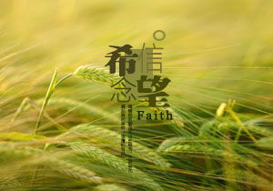 作文關(guān)于盼的開頭優(yōu)美