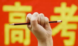 新高考改革何去何從(村治改革,組長何去何從)